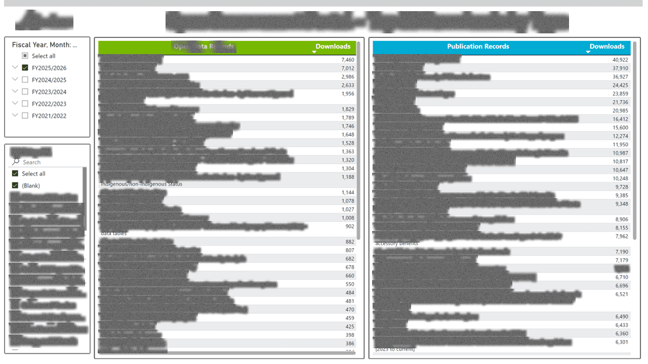 Public Data Portal — Usage & Adoption Analytics — page 4